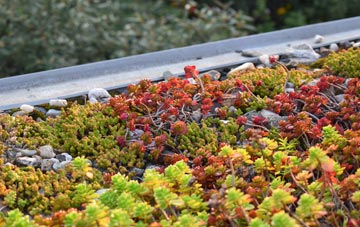 the cost of West Kyo green roof installation
