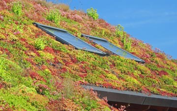 West Kyo living roof systems